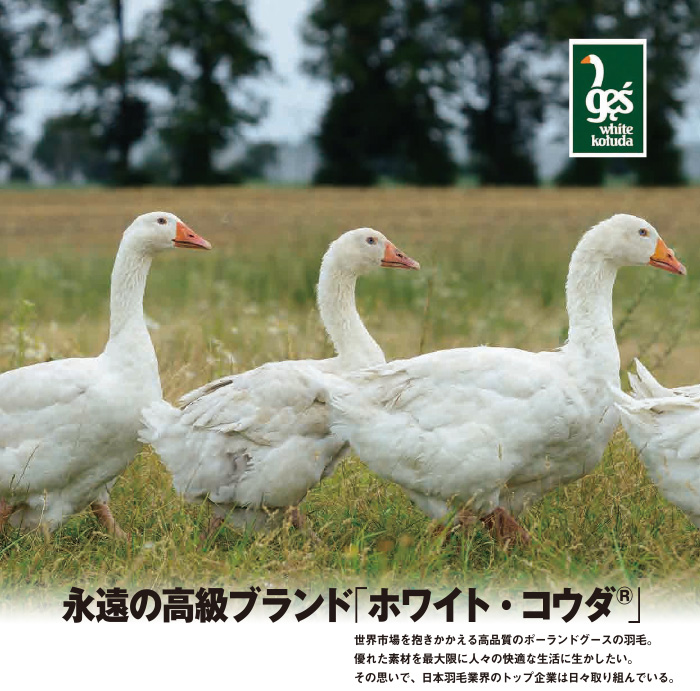 永遠の高級ブランド「ホワイト・コウダ®」
世界市場を抱きかかえる高品質のポーランドグースの羽毛。優れた素材を最大限に人々の快適な生活に生かしたい。
その思いで、日本羽毛業界のトッフ企業は日々取り組んでいる。